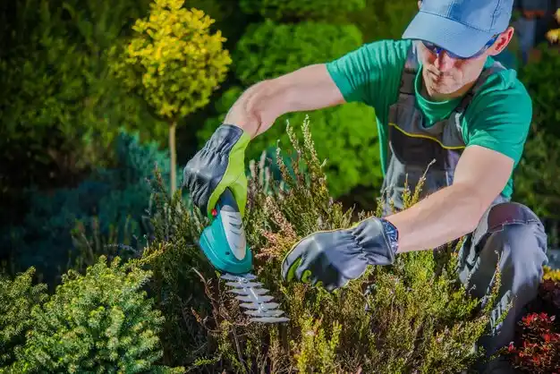 landscaping services Derby